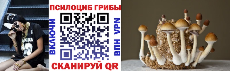 Купить Ковров Галлюциногенные грибы Magic Shrooms